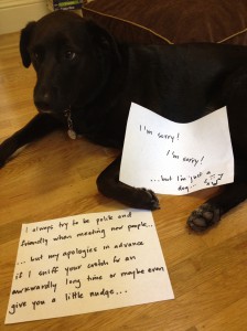 I Always Try To Be Polite And Friendly - Dogshaming