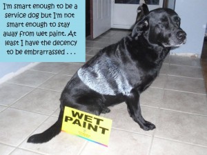 Wet Paint - Dogshaming