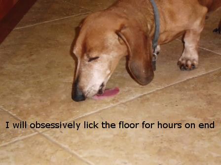 Floor Cleaner - Dogshaming