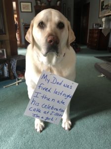 Ce'LAB'ration Cake - Dogshaming